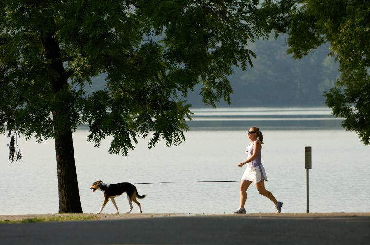 How to Move Your Pets: Tips on Moving With Dogs, Cats and More