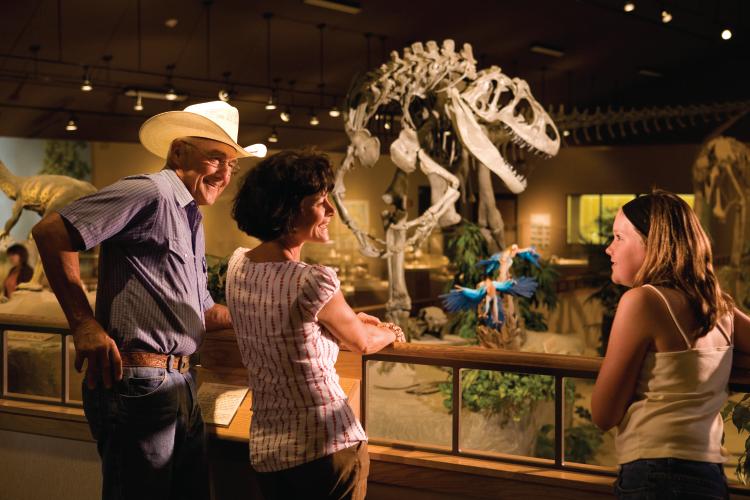 Dakota Dinosaur Museum in Dickinson, ND