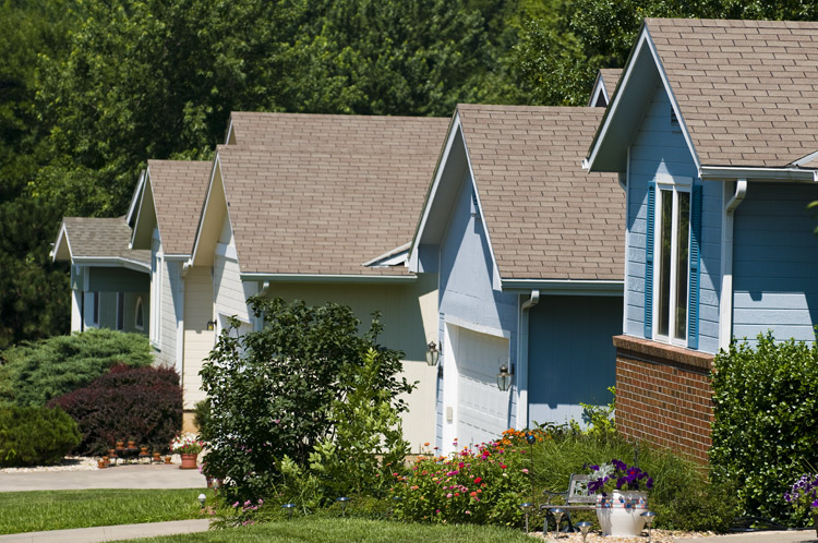 Little Kitten Avenue