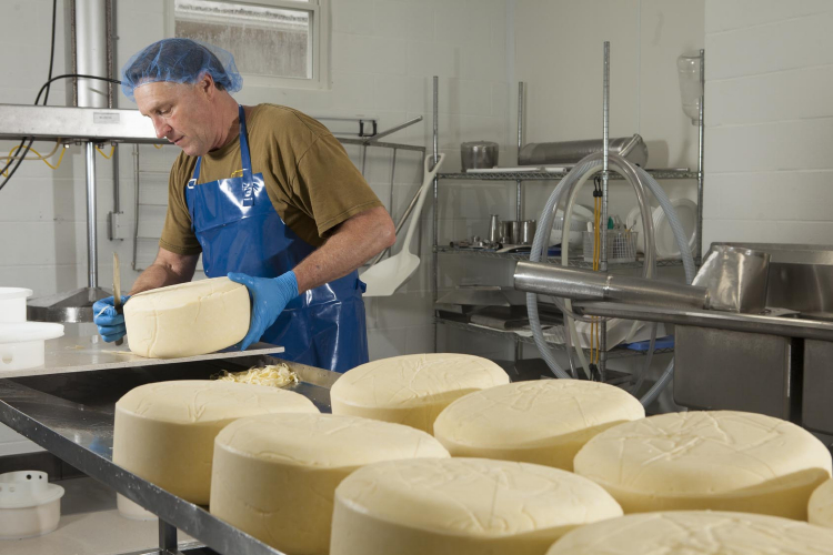 Kennys Farmhouse Cheese in Glasgow, KY.