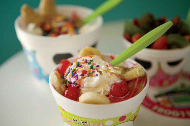 sweetFrog Frozen Yogurt in Wilkesboro, NC