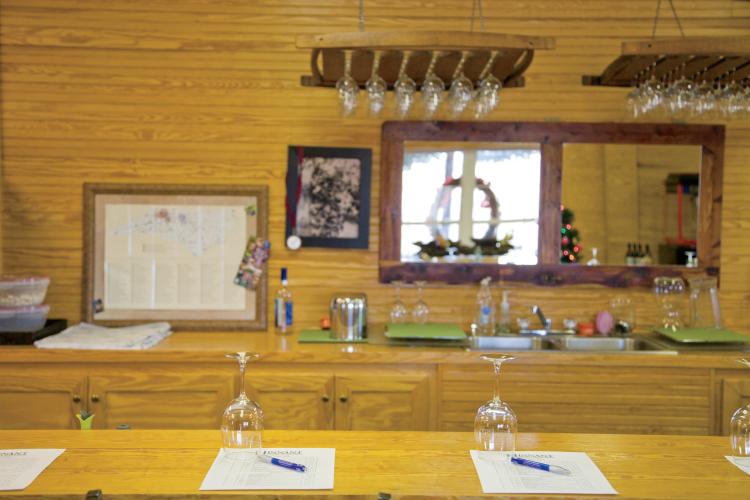 Hinnant Family Vineyard in Pine Level, NC