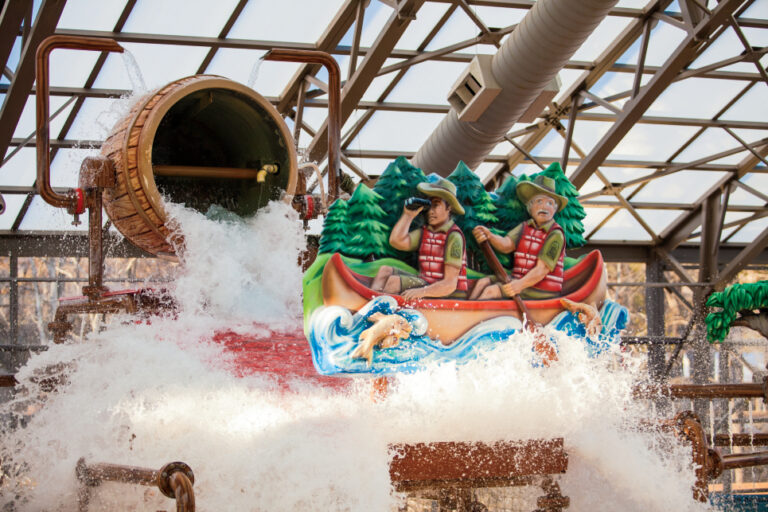 The WaterPark @ The Villages Near Tyler, TX