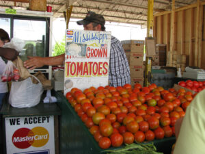 East Lansing |10947650874_00f5c5451e_z.jpg|2015CharlestonF.M.2.jpg|2015AlabamaF.M..jpg|2015MississippiF.M..jpg