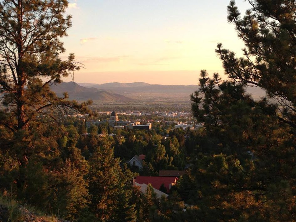 Between a pair of pine trees is the city of Helena and a colorful morning sky.