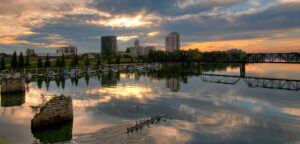 A crew team paddles across the river as the sun rises over the city of Augusta, GA.