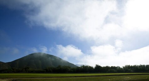 Camarillo California