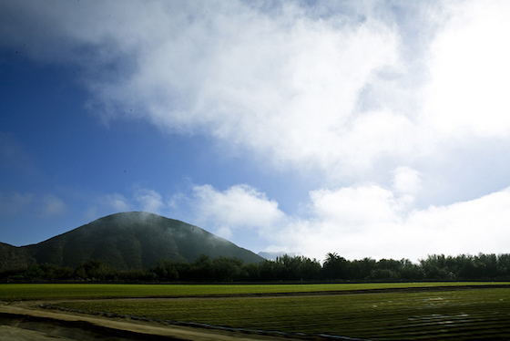 Camarillo California