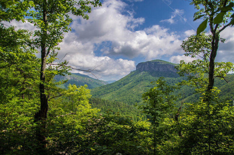 Linville Gorge