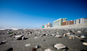 Myrtle Beach South Carolina
