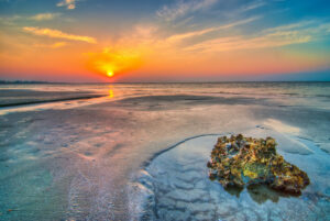 South Carolina beaches