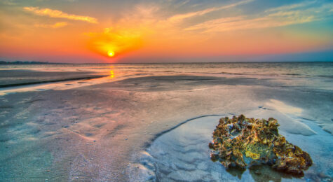 South Carolina beaches
