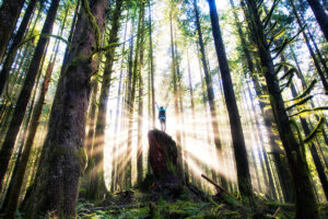 Find Your Best Place to Live