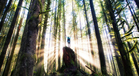 Find Your Best Place to Live