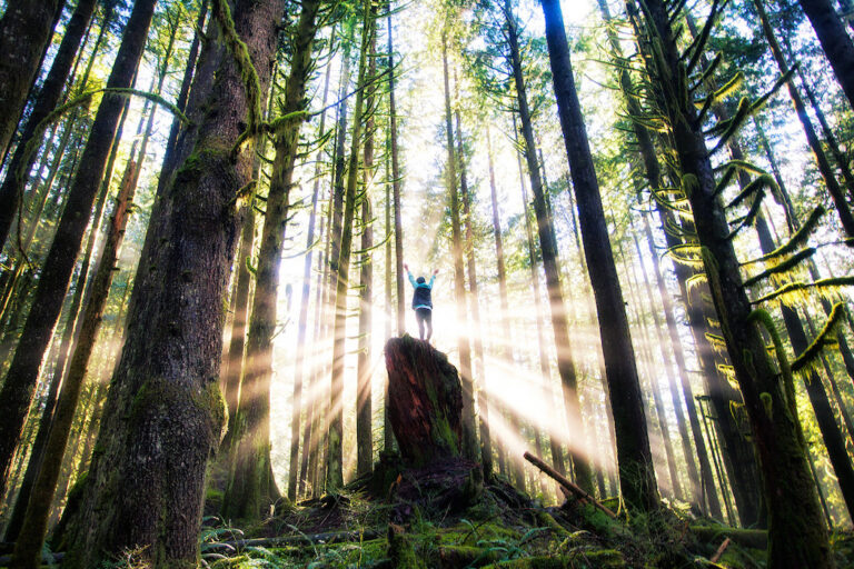 Find Your Best Place to Live