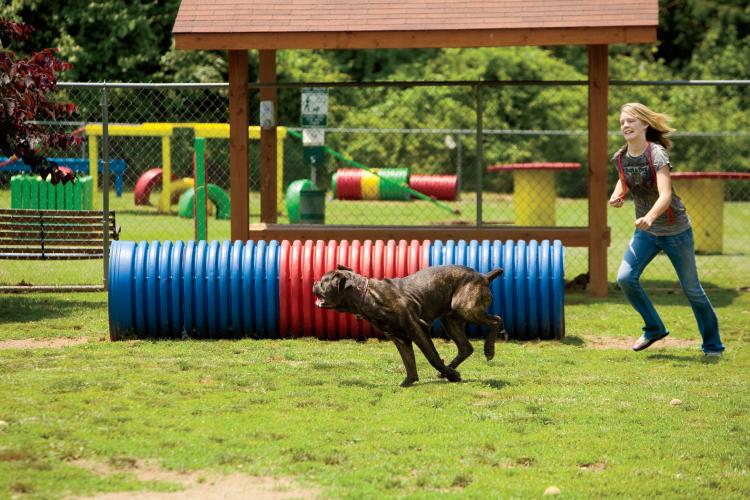 Franklin TN Dog Park: Maggie's Bark Park
