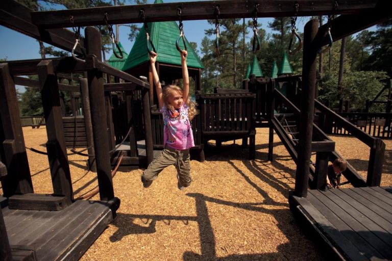 Fairview TN Bowie Nature Park Treehouse Playground