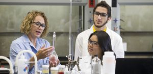 Rochester MN Schools