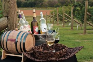 Muskogee, OK: Pecan Creek Winery