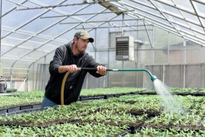 Shakopee, MN: SMSC Wozupi Tribal Garden