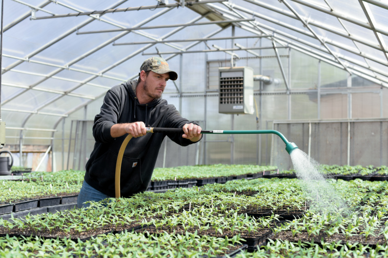 Shakopee, MN: SMSC Wozupi Tribal Garden
