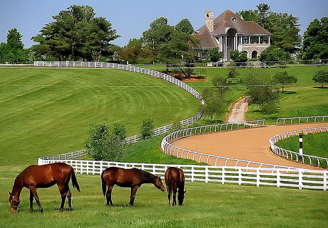 Kentucky horse farm