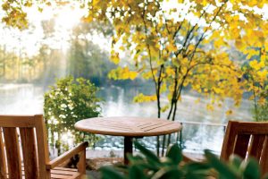 Martha Stewart home in Cary