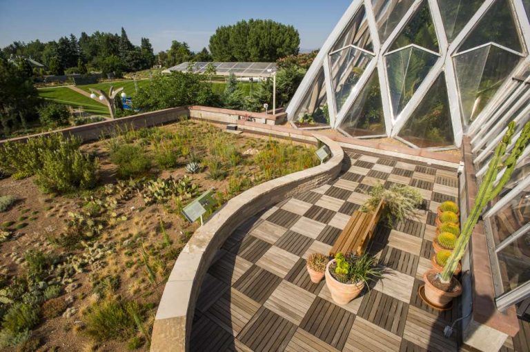 Green roof in Denver