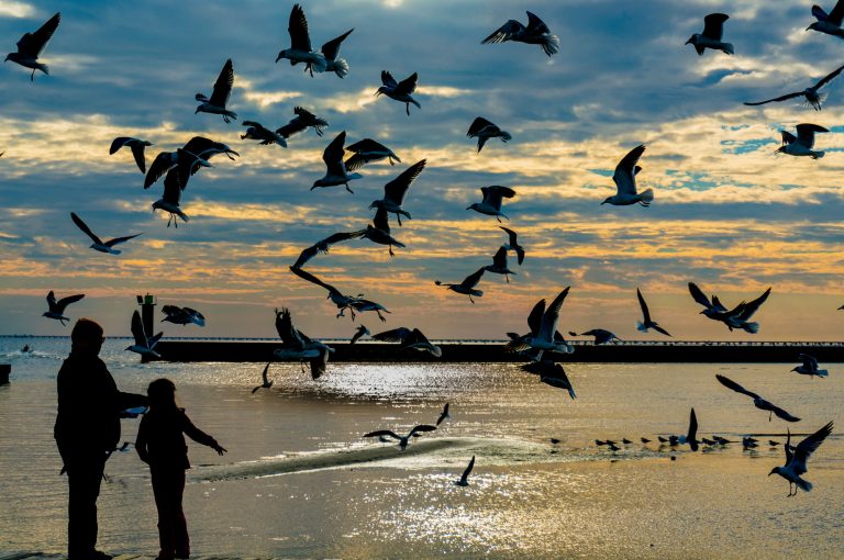 St. John the Baptist Parish, LA