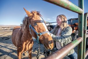Sweetwater County WY