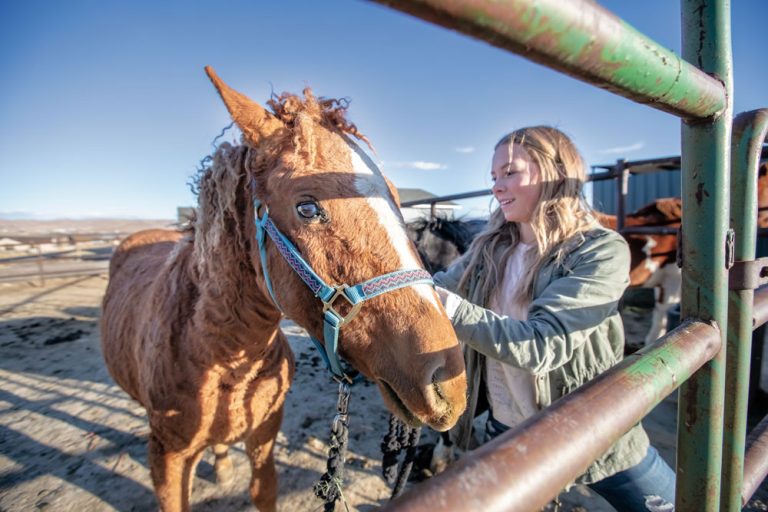 Sweetwater County WY