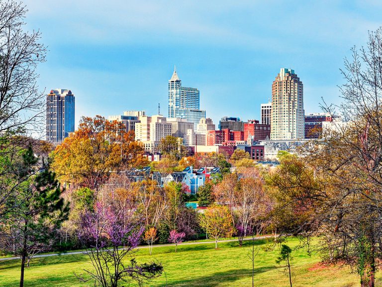 LGBT|Raleigh NC skyline