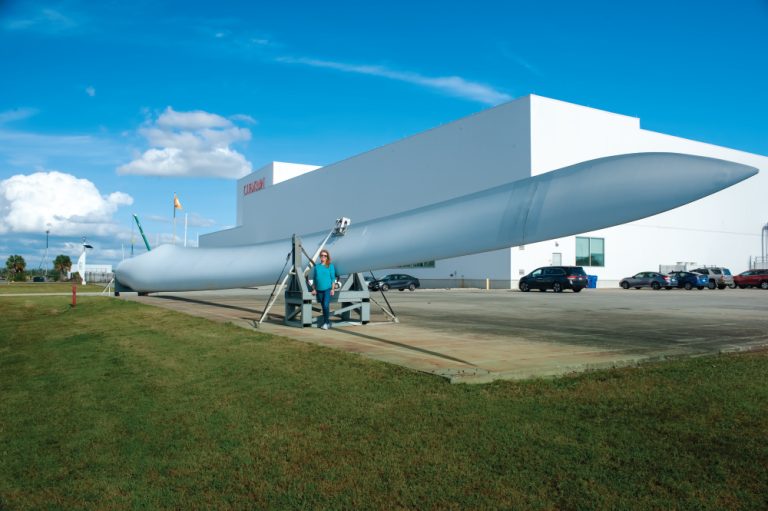 South Carolina: Clemson Restoration Institute