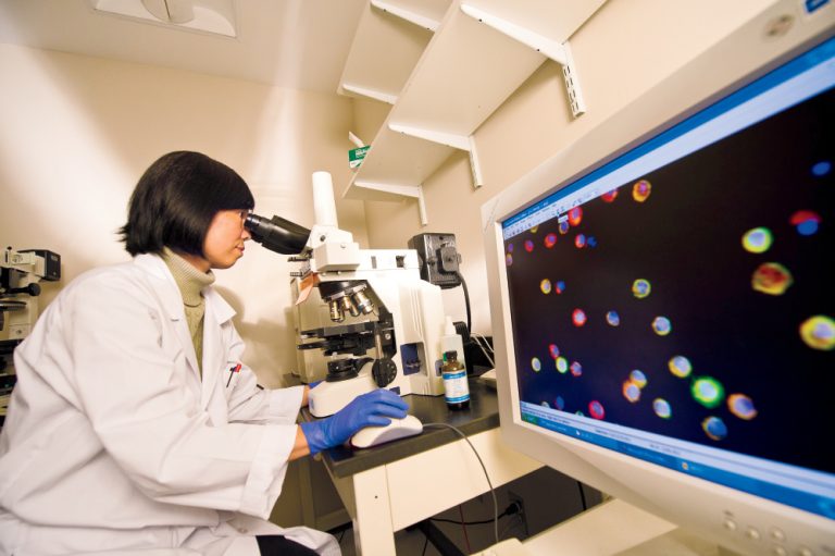 Baltimore, MD Universities