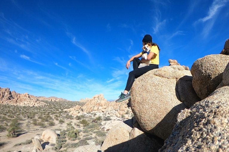 Digital Nomad|Digital Nomad