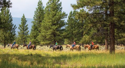 Sweetwater County WY