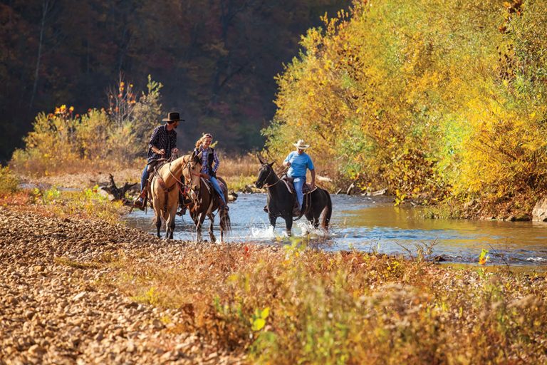Athens/Limestone Co. AL