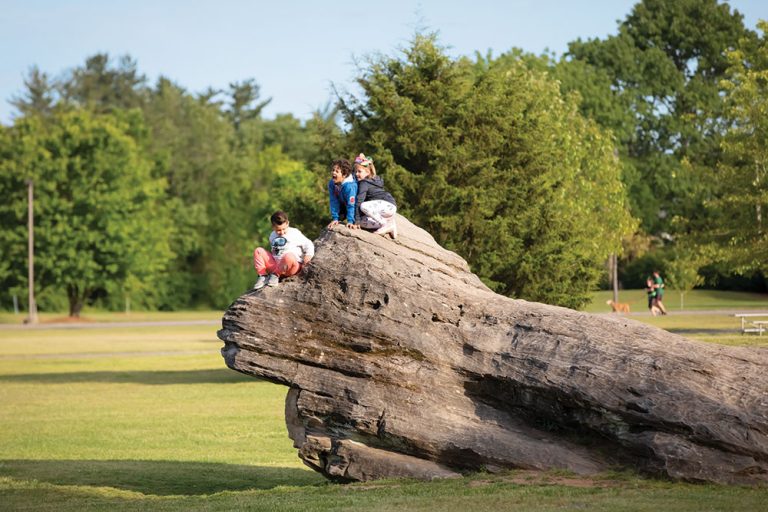 Williamson County TN