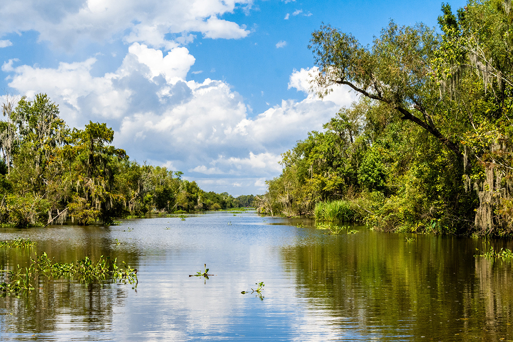 Mandalay National Wildlife Refuge, Houma, Louisiana, USA.