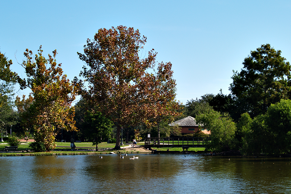 Lake and footbridge, Lafreniere Park, Metairie, Lousiana (New Orleans metropolitan area).