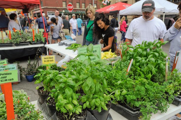Farmers Market in Lincoln, NE