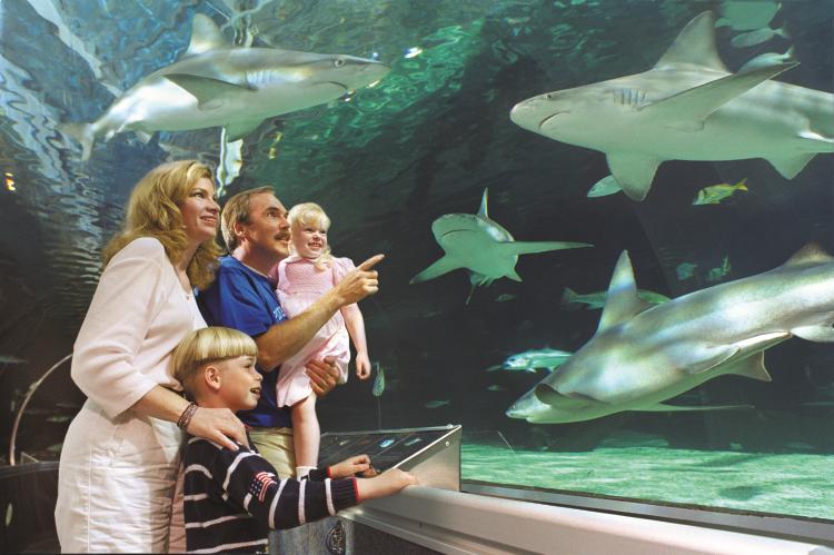 Mall of America’s SEA LIFE Minnesota Aquarium in Minneapolis, MN