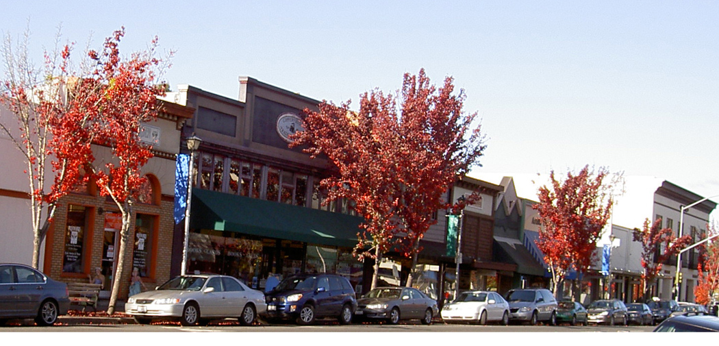 View of Main Street in Sebastopol, CA