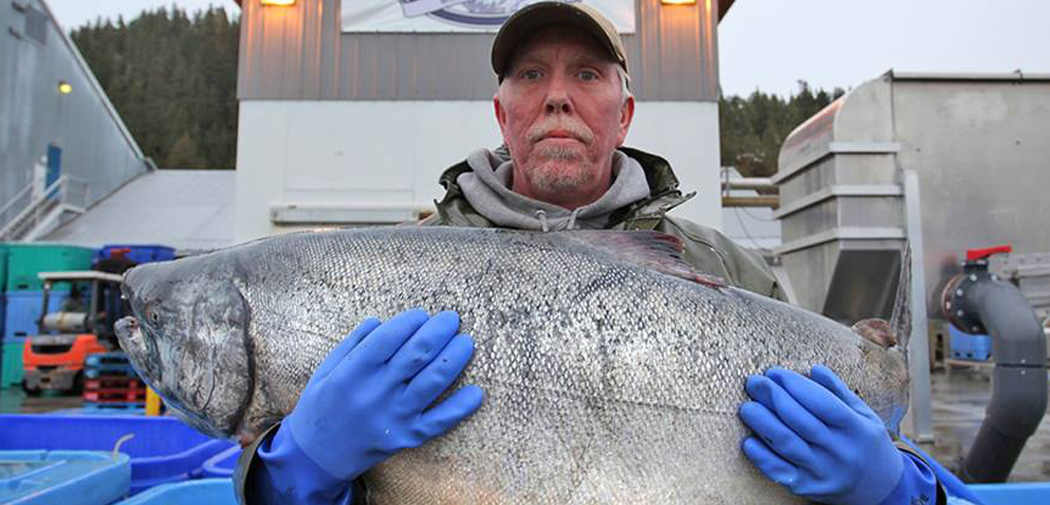 Copper River Seafoods.