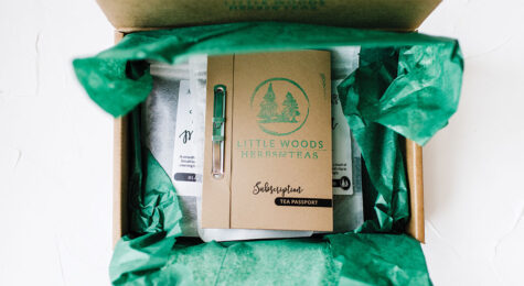 Ames, Story County, IA