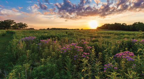 Ames, Story County, IA