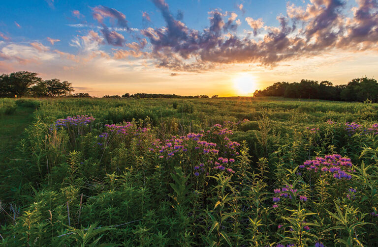 Ames, Story County, IA