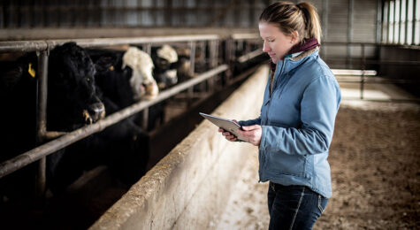 Ames, Story County, IA