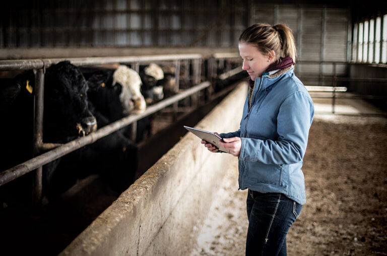 Ames, Story County, IA