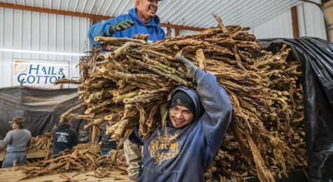 Robertson County, Tennessee
